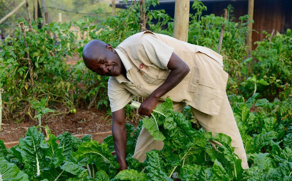 Olepangi Farm Vila Nanyuki Exterior foto