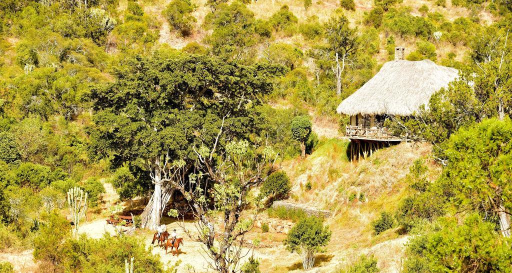 Olepangi Farm Vila Nanyuki Exterior foto