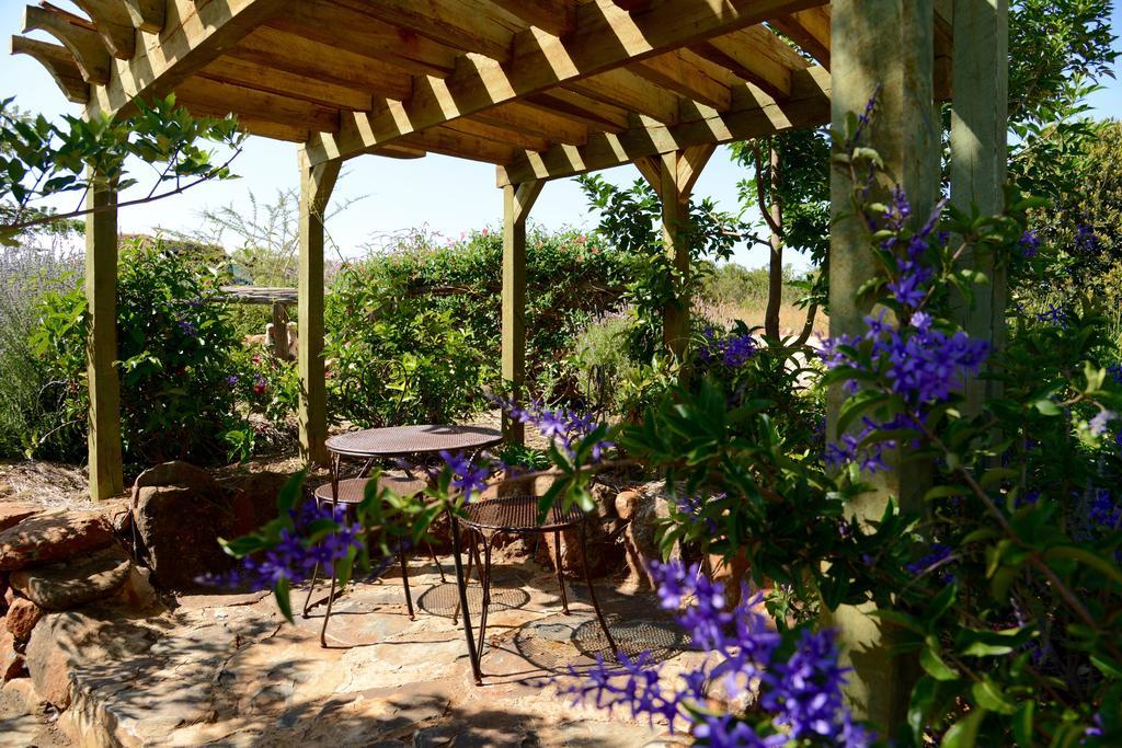 Olepangi Farm Vila Nanyuki Quarto foto
